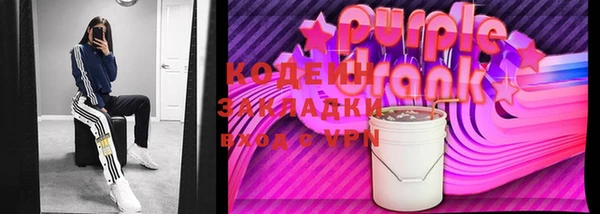 прущие грибы Елабуга