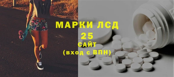 прущие грибы Елабуга