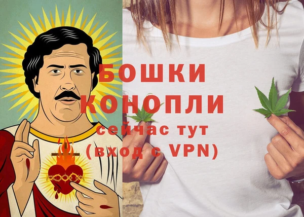 прущие грибы Елабуга