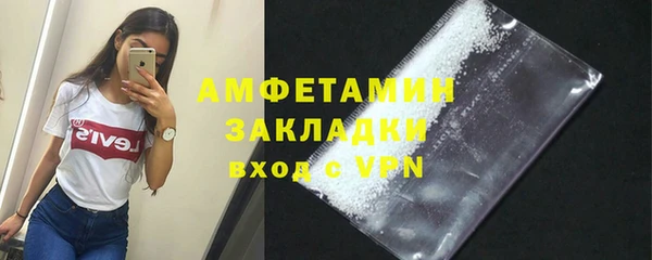 прущие грибы Елабуга