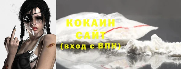 мяу мяу мука Ельня