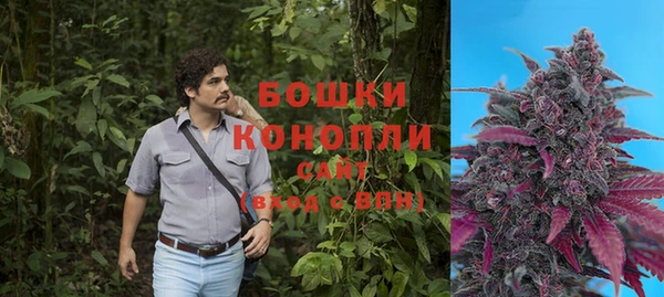 трава Елизово