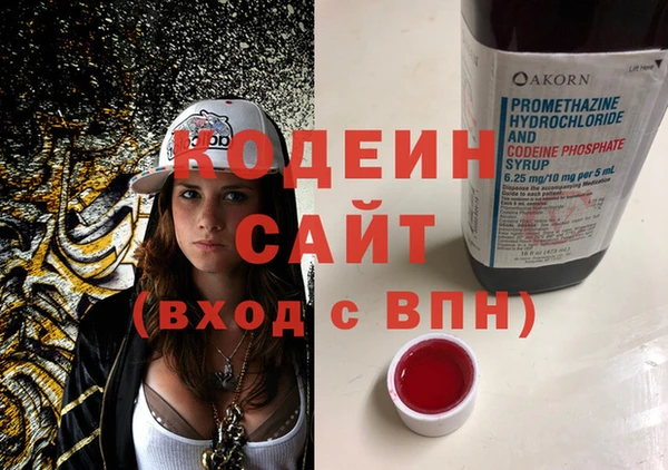 прущие грибы Елабуга