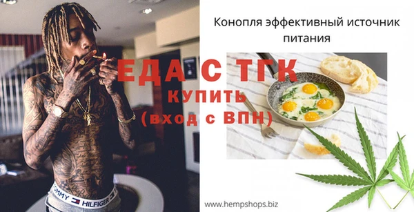 прущие грибы Елабуга