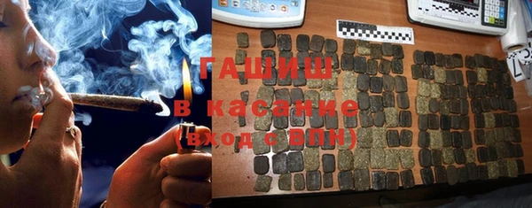 прущие грибы Елабуга