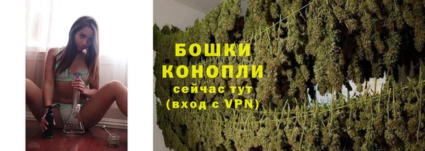 мяу мяу мука Ельня