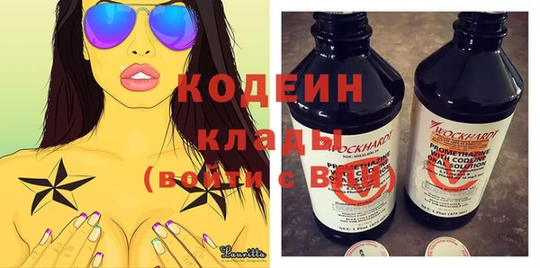 прущие грибы Елабуга