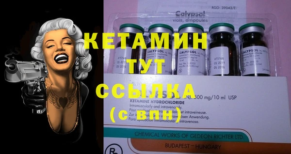 прущие грибы Елабуга