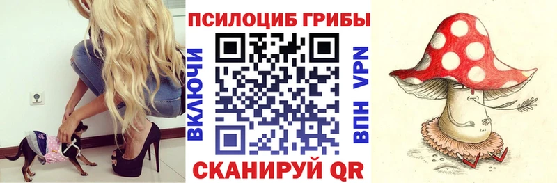 Галлюциногенные грибы ЛСД  Купить закладки  Инта 